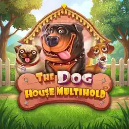 The Dog House Multihold gra w Huuuge Casino dla graczy z Polski The Dog House Multihold gra w Huuuge Casino dla graczy z Polski